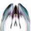 ������ ������������ WinFury